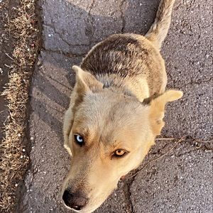 Meet your Posher, Michele